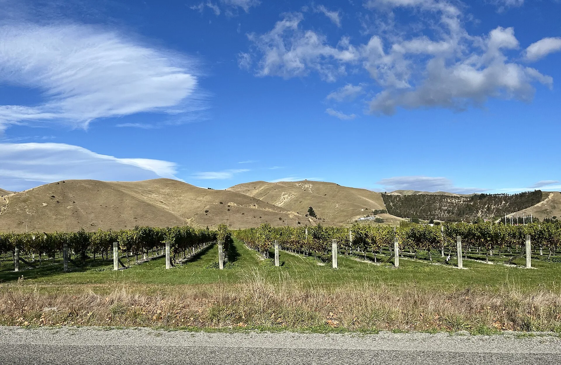 Marlborough, Central Otago : le pays du vin