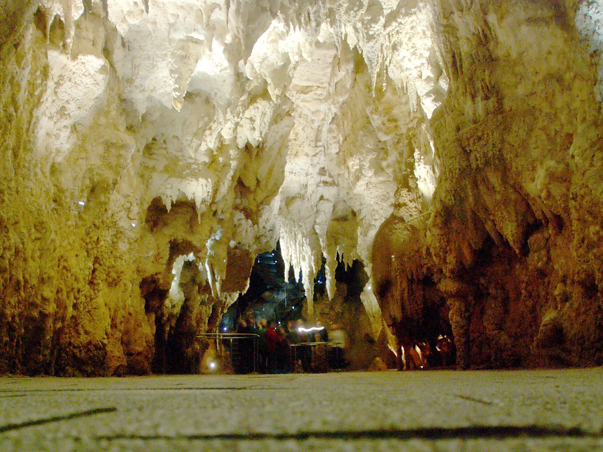 Jour 2 : Waitomo et ses grottes aux vers luisants