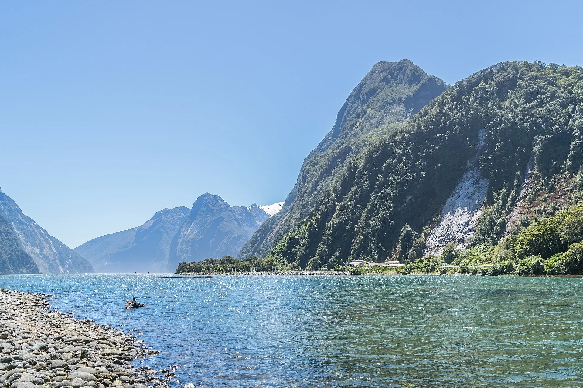 Jour 9 : Milford Sound