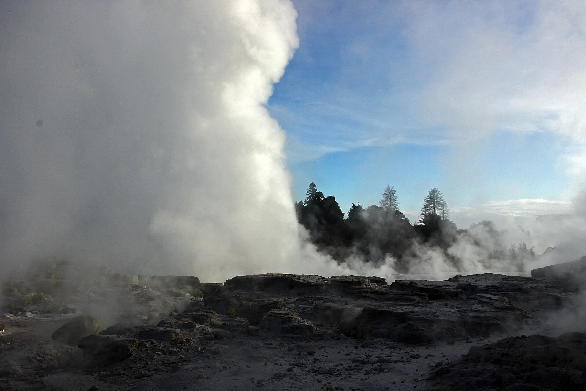 ️ Te Puia et les geysers de Whakarewarewa