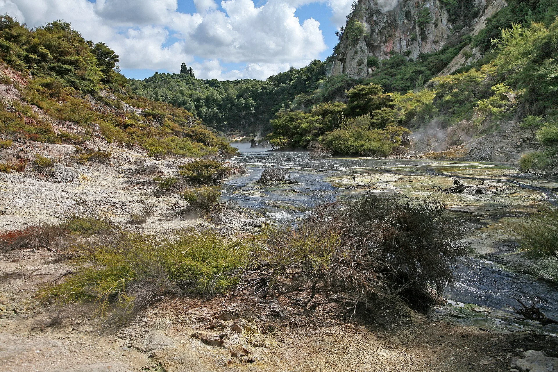 Waimangu, la vallée volcanique
